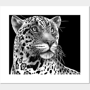 Jaguar Posters and Art